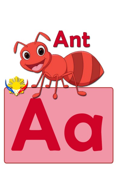 A-Z Alphabets Flash Cards.